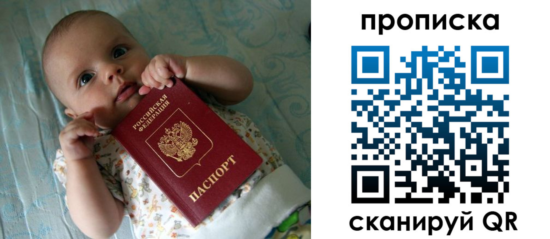 прописка поиск в Пикалёво
